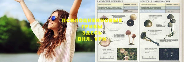 2c-b Богданович